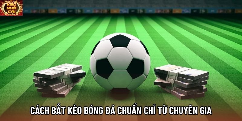 Cách bắt kèo bóng đá chuẩn chỉ từ chuyên gia Cách bắt kèo bóng đá chuẩn chỉ từ chuyên gia