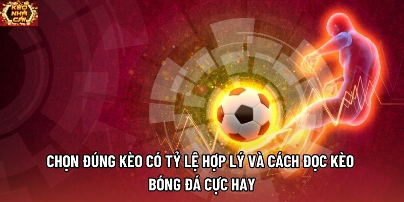 Chọn đúng kèo có tỷ lệ hợp lý và cách đọc kèo bóng đá cực hay