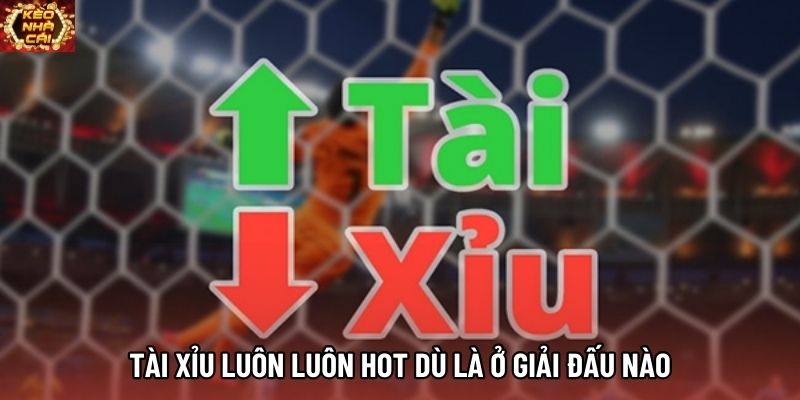 Tài xỉu luôn luôn hot dù là ở giải đấu nào Tài xỉu luôn luôn hot dù là ở giải đấu nào