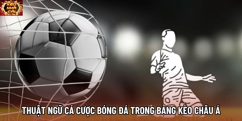 Thuật ngữ cá cược bóng đá trong bảng kèo châu Á