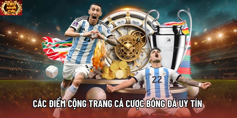 Các điểm cộng trang cá cược bóng đá uy tín 